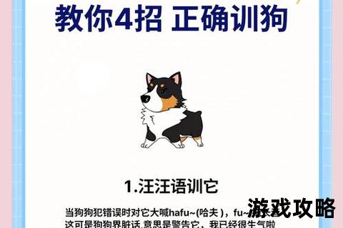 断绝狗攻略_高效训练技巧与行为纠正全指南