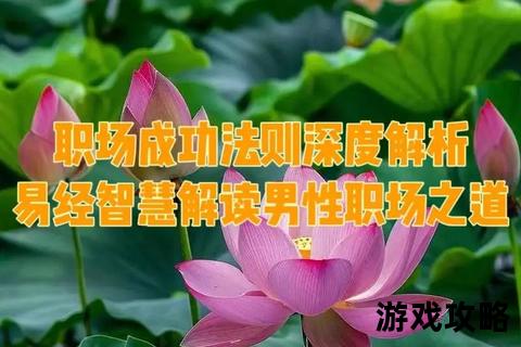 宦海悠然行_职场生存智慧与从容晋升法则全解析
