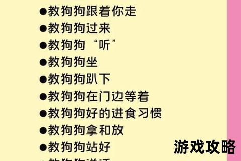 断绝狗攻略_高效训练技巧与行为纠正全指南