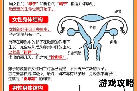 触孕攻略_科学备孕全指南与快速受孕技巧解析
