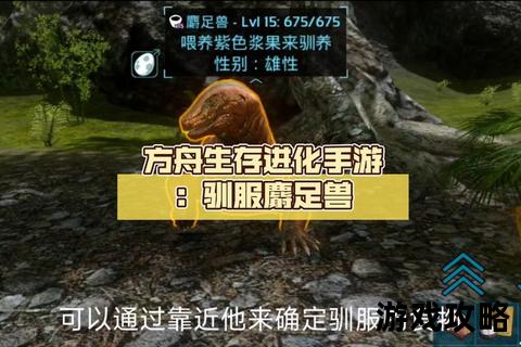 方舟驯服全攻略-生物驯养技巧与资源管理进阶指南