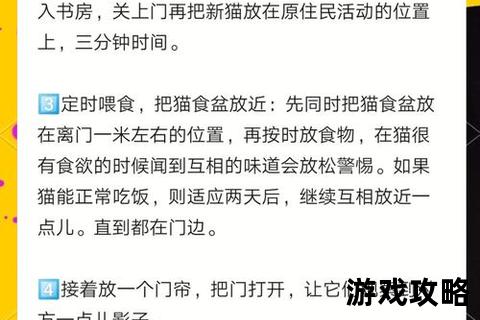 萌趣猫村全攻略-暖阳下喵星人聚集地的温馨探秘指南