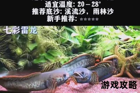 雷龙全面攻略-技能解析与实战进阶技巧指南