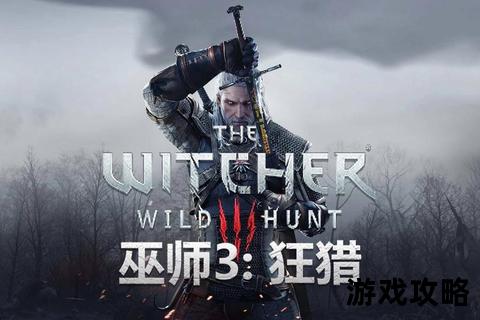 PS4巫师3狂猎完全攻略指南:任务路线_装备收集与高效通关技巧