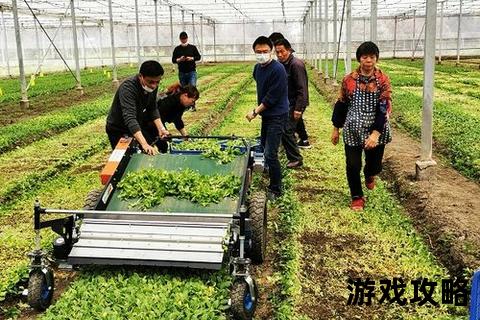 开心庄园高效经营攻略:从种植到升级全流程技巧解析 开心庄园高效经营攻略:从种植到升级全流程技巧解析