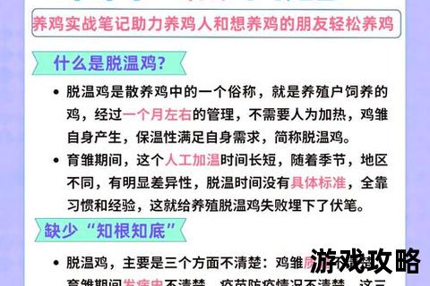 高效养鸡场运营指南：选址建设_科学喂养_疾病防治全解析