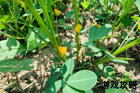 大话种植全攻略_从选种到丰收的实用技巧与高效方法详解