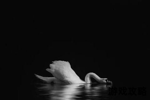 黑色 黑色