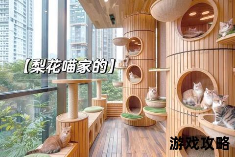 萌宠空间设计指南_猫部屋布置全攻略与舒适环境打造秘籍