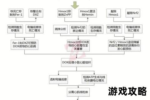 Path攻略_从路线规划到实战技巧的完整通关秘籍指南