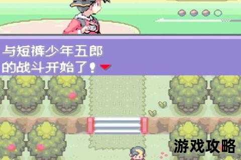 口袋水晶全攻略:收集养成_剧情任务+Boss挑战技巧详解