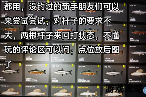 俄罗斯钓鱼攻略_高效技巧与装备选择指南-新手必看
