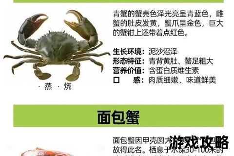 苍山蟹寻味指南-秘境捕捞技巧与风味品鉴全解析 苍山蟹寻味指南-秘境捕捞技巧与风味品鉴全解析