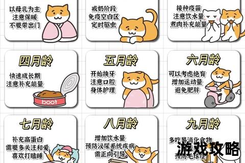 猫咪日常养护全攻略：饮食、健康与行为训练实用指南