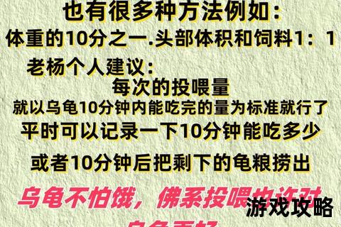 龟壳下的智慧日常_15天解锁乌龟科学喂养与健康管理全攻略