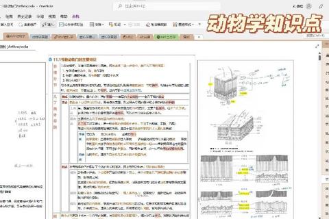 动物学考研真题解析_高频考点与典型例题精讲