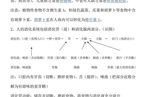 北师大马院历年真题解析_核心考点与备考策略探析