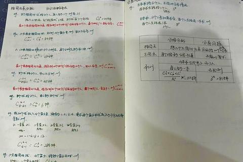 MPA一月联考历年真题解析与备考技巧全攻略
