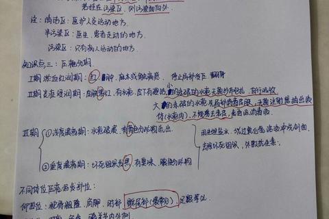 基护考研真题_高频考点解析与高效备考策略精讲