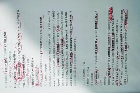 415考研真题解析：高频考点与备考策略深度剖析