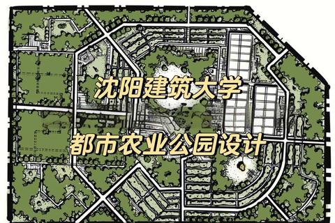 沈阳建筑大学考研真题解析_高频考点与复习策略全指导