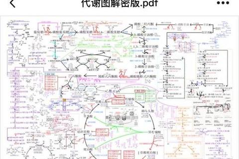 吉林大学考研生物化学真题解析_高频考点与复习策略精讲