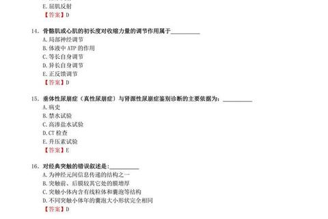 延大考研真题_核心考点解析与高效复习策略指南