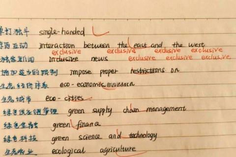 西北大学翻译硕士真题解析_核心考点与备考策略探析