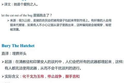 2018MTI真题解析-翻译硕士备考策略与实战技巧探讨