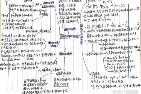 生物化学考研代谢专题解析：关键反应路径与实验设计精讲