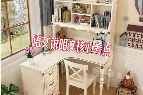 首师601真题核心考点解析_备考策略与答题技巧全指导