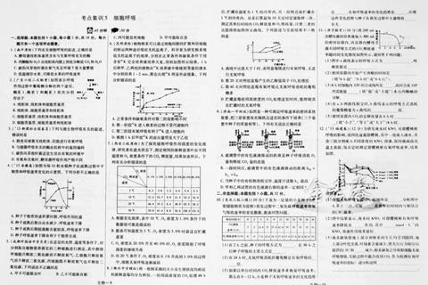 西华师范903真题_高频考点解析与复习策略精要