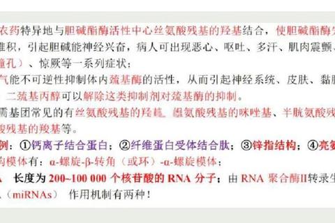西综628真题高频考点解析_重难点突破与备考策略指导