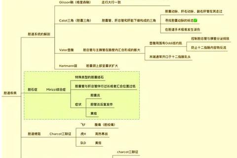 2017西医综合考研真题解析_核心考点与高频知识点精讲