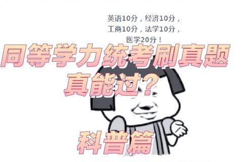 同等学力考试真题解析_高频考点与备考策略精讲 同等学力考试真题解析_高频考点与备考策略精讲
