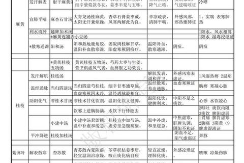中医综合真题选购指南-哪本最适合考试复习与备考攻略