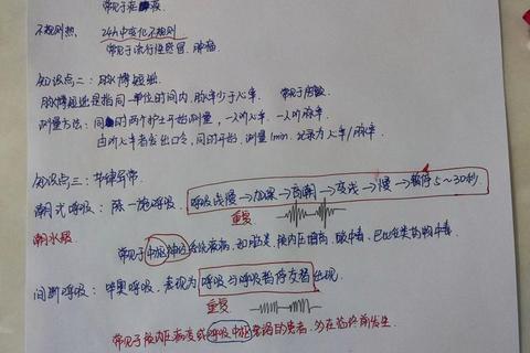 基护考研真题_高频考点解析与高效备考策略精讲