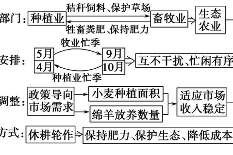 中南965真题答案详解_高分备考策略与核心考点解析 中南965真题答案详解_高分备考策略与核心考点解析