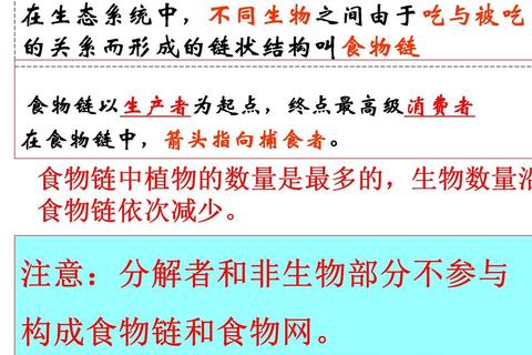 341食品综合三真题解析_核心考点提炼与备考策略精讲