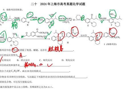 上海大学884真题_核心考点解析与高频题型突破策略