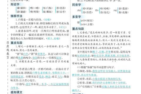 1996年真题答案解析：核心考点梳理与备考策略精要