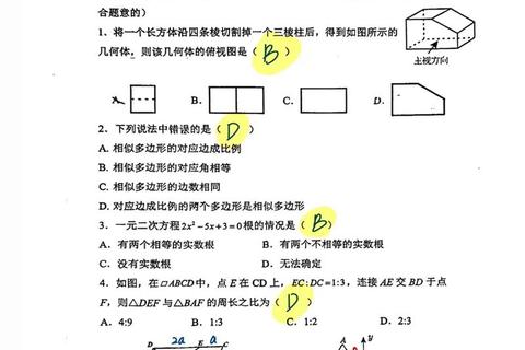 陕师大199真题核心剖析：高频考点与解题思路深度解析