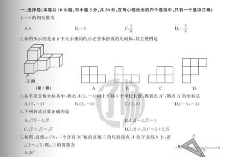 辽师数学真题解析与考点精讲-备考策略及能力提升路径