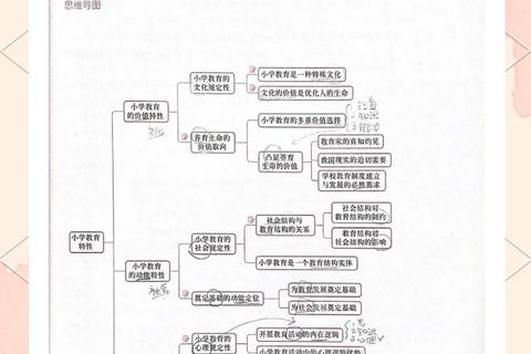小学教育902真题解析_核心考点与教学策略深度剖析