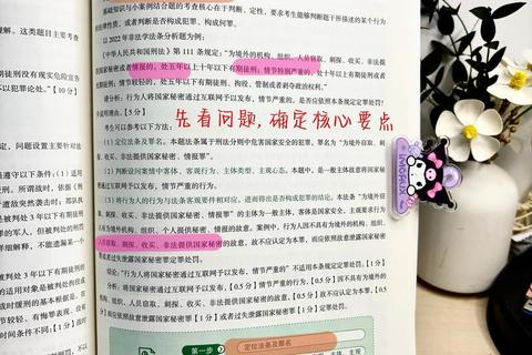 西南政法大学刑法真题解析_核心考点与实务应用研究