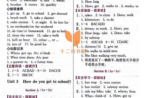 英语1真题答案精析：考点解析与高分策略指南