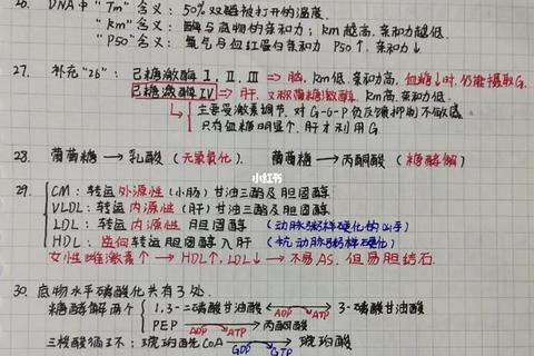 西综十年真题核心考点解析-高频知识点与复习笔记精要