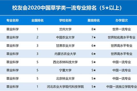 兰大803真题解析：核心考点与备考策略全攻略