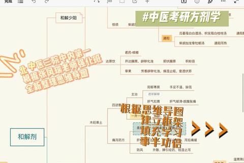 中医考研真题解析_高频考点精粹与备考策略汇总