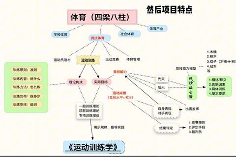 体育专业历年真题解析_高频考点与备考策略深度剖析